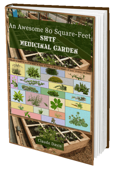 SHFT Medicinal Garden